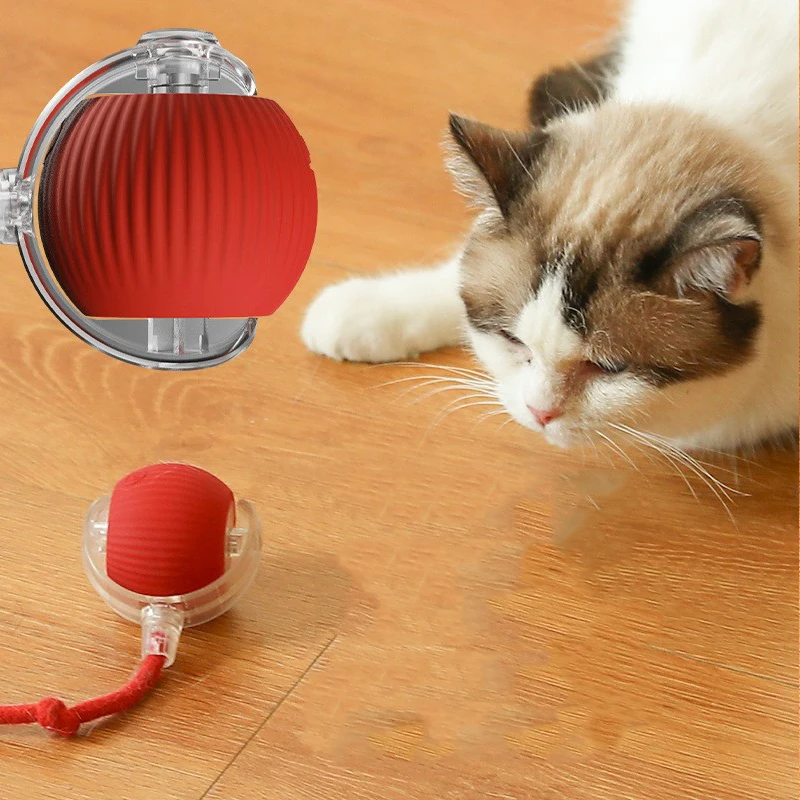 Smart Interactive Pet Ball – USB Charging, Auto Moving &amp; Bouncing