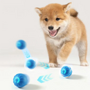 Smart Interactive Pet Ball – USB Charging, Auto Moving &amp; Bouncing