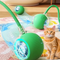 Smart Interactive Pet Ball – USB Charging, Auto Moving &amp; Bouncing