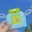 Education Flash Card Learning Toys Talking