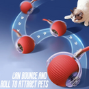 Smart Interactive Pet Ball – USB Charging, Auto Moving &amp; Bouncing