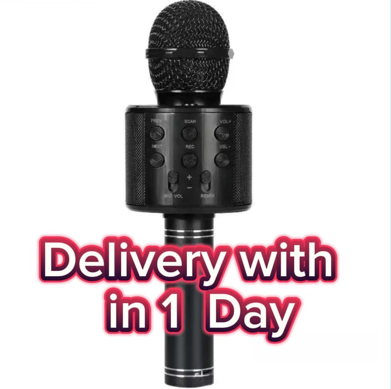 Wireless Bluetooth Karaoke Microphone